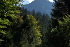 IMG_20210918_152111224_HDR