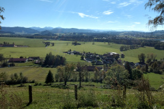 IMG_20211018_140431975_HDR