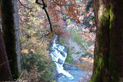IMG_20211031_093610303