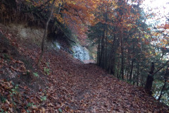 IMG_20211031_094354121
