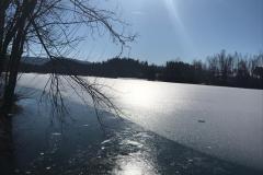 IMG-20220214-WA0003