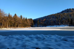 IMG_20211207_153709409